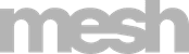 Mesh logo